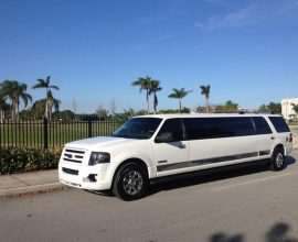 14 PASS FORD EXPEDITION LIMO